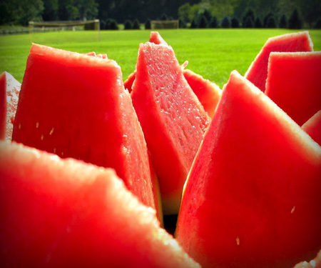 Pageland Watermelon Festival